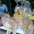 看电影的猫 1086338
