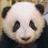bearking 968342