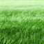 韩浩月 1296376