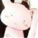 楠十 108510