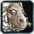Dominic 572541
