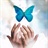 Summerfilm 1208561