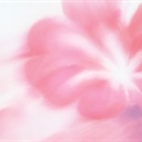 石落天涯 834598