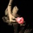 kimininny 954611