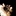 Pluto 1244613