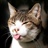 猫痴君