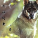 天狼剑影 934615