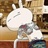 苞苞