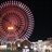 大灰1654651