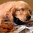 nathalie1360665