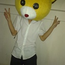 小 Elvis 892665