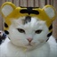魔法蓝猫 852674