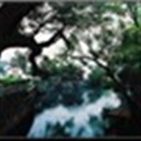 盲箭手 120678