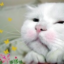 xiaott33 1128007