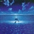 Dolphin 828726