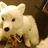MiniFox 1000796