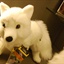 MiniFox