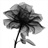 cin 878798