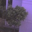 元元1426803