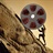 moviebuff 1162808