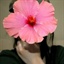 Lynn_1007