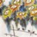 梅雪 1048862