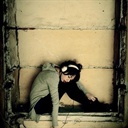 peggie 1168878