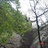 GeneralQin