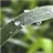 小楼听雨 268894