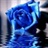 apple 1602907