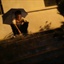 Sean Andy 1678928