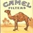 camel 296943