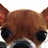 grant_lee
