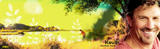 sunshine (1)