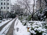 雪路