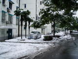 雪中街道
