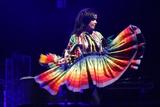 bjork shanghai