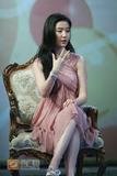 刘亦菲 (6)
