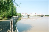 沿河