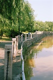 沿河