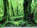 桌面