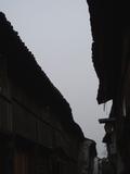 蔓延