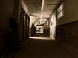 wp1130_1146540055