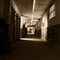 wp1130_1146540055