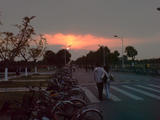 DSC00052