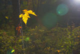 IMGP4038-0
