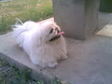 20070625(001)