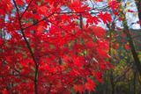 IMGP4027-0