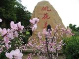 宁波之行 050