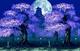 紫夜